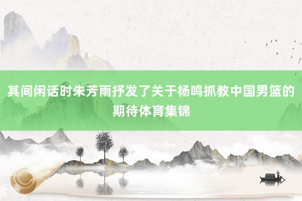 其间闲话时朱芳雨抒发了关于杨鸣抓教中国男篮的期待体育集锦