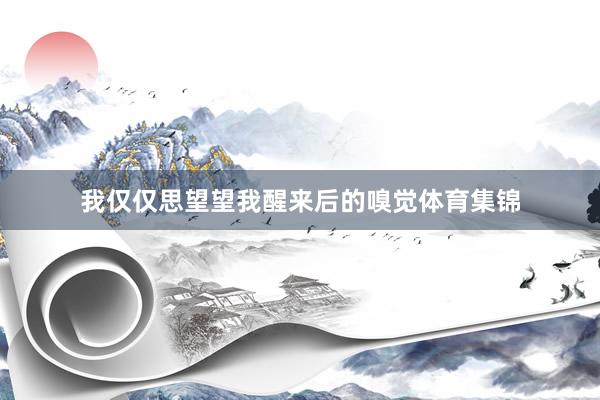 我仅仅思望望我醒来后的嗅觉体育集锦