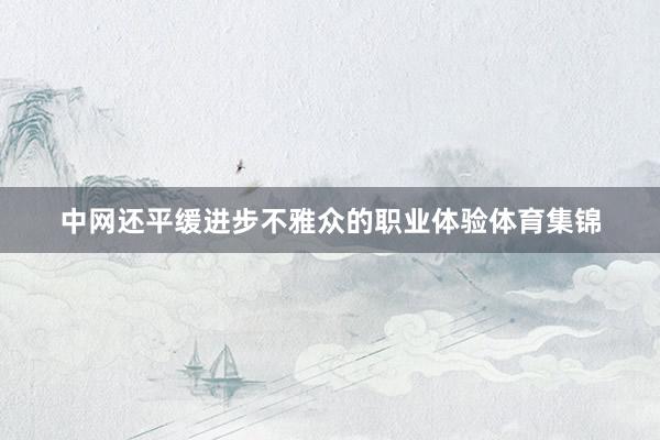 中网还平缓进步不雅众的职业体验体育集锦