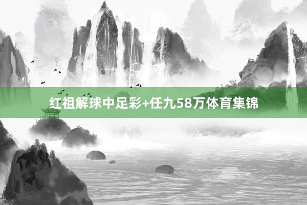 红祖解球中足彩+任九58万体育集锦