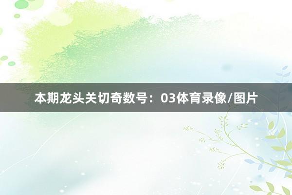 本期龙头关切奇数号：03体育录像/图片