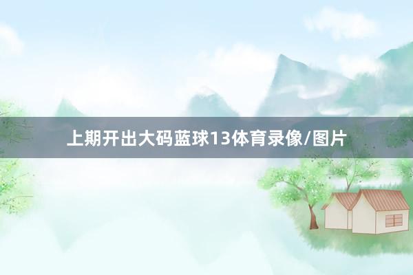 上期开出大码蓝球13体育录像/图片