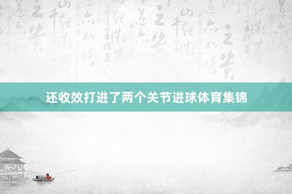 还收效打进了两个关节进球体育集锦