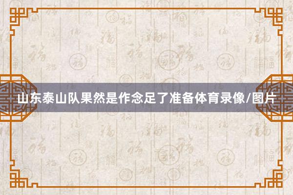 山东泰山队果然是作念足了准备体育录像/图片