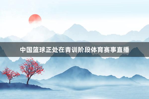 中国篮球正处在青训阶段体育赛事直播