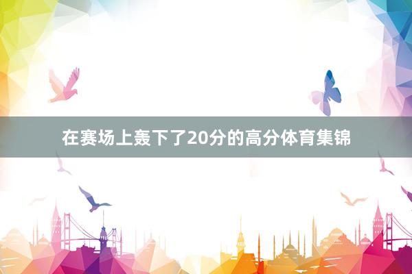在赛场上轰下了20分的高分体育集锦