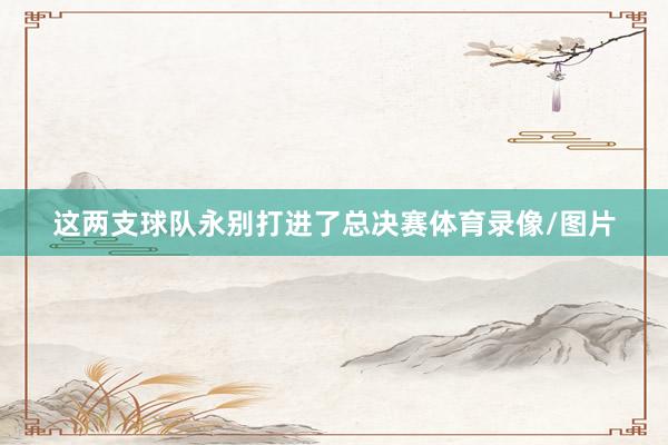 这两支球队永别打进了总决赛体育录像/图片