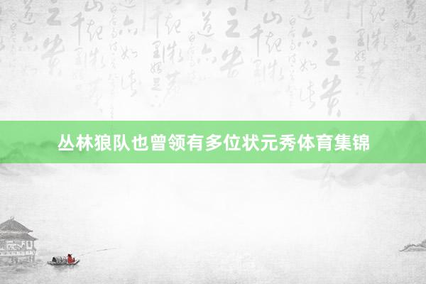 丛林狼队也曾领有多位状元秀体育集锦