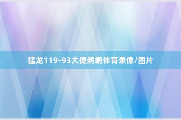 猛龙119-93大捷鹈鹕体育录像/图片