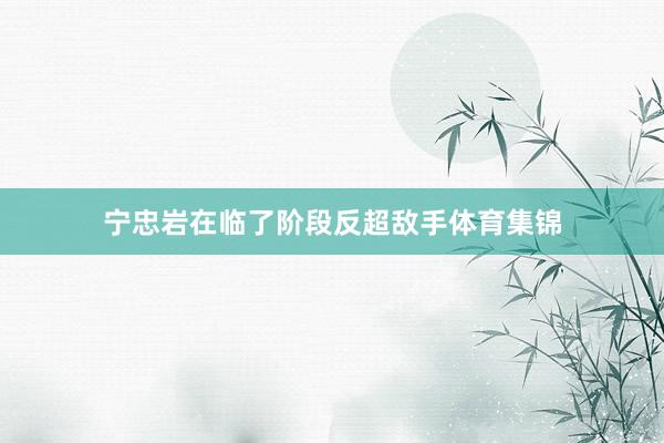 宁忠岩在临了阶段反超敌手体育集锦