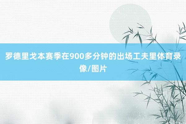 罗德里戈本赛季在900多分钟的出场工夫里体育录像/图片