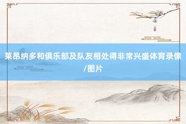 莱昂纳多和俱乐部及队友相处得非常兴盛体育录像/图片