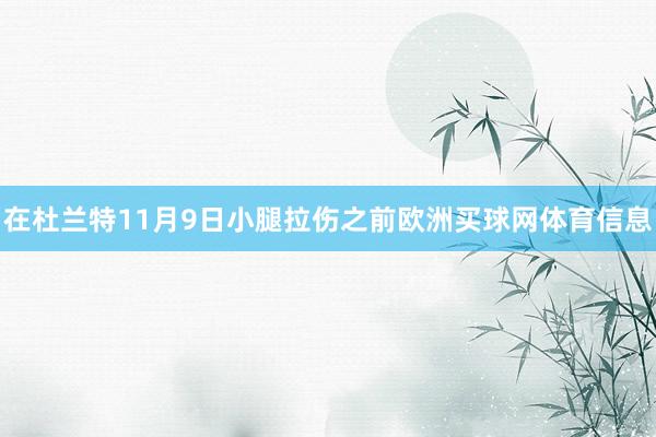 在杜兰特11月9日小腿拉伤之前欧洲买球网体育信息