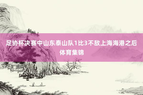 足协杯决赛中山东泰山队1比3不敌上海海港之后体育集锦