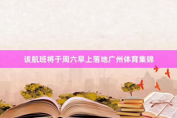 该航班将于周六早上落地广州体育集锦