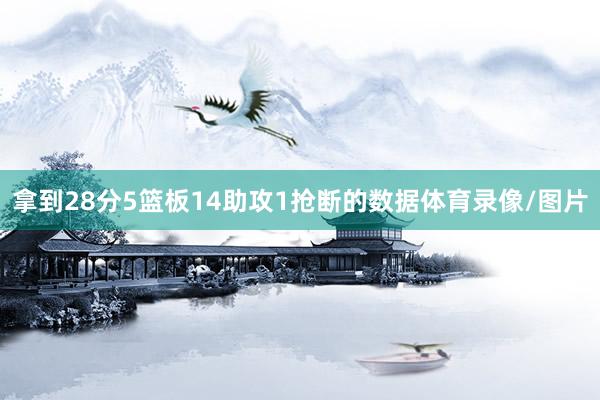 拿到28分5篮板14助攻1抢断的数据体育录像/图片