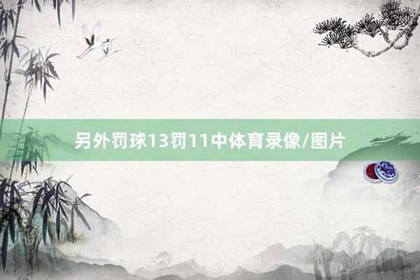 另外罚球13罚11中体育录像/图片