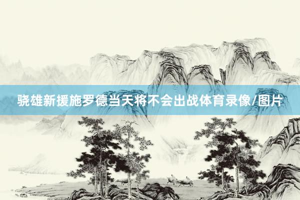 骁雄新援施罗德当天将不会出战体育录像/图片
