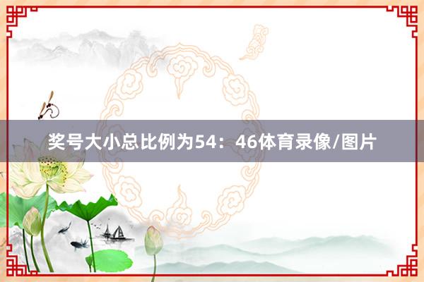 奖号大小总比例为54：46体育录像/图片