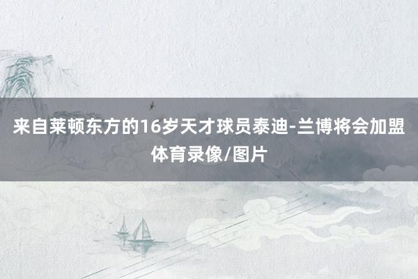 来自莱顿东方的16岁天才球员泰迪-兰博将会加盟体育录像/图片