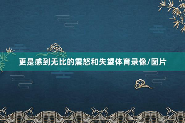 更是感到无比的震怒和失望体育录像/图片