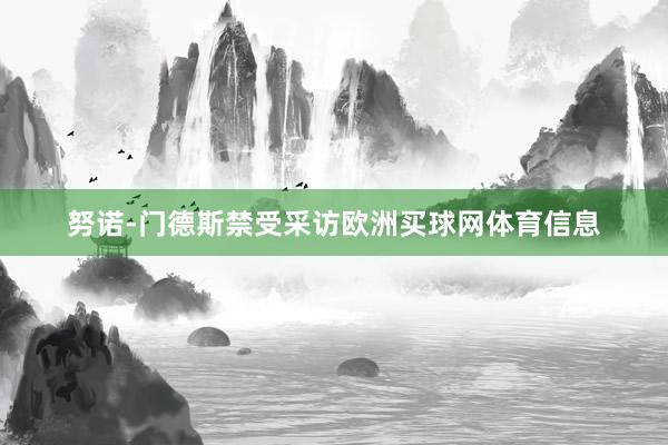 努诺-门德斯禁受采访欧洲买球网体育信息