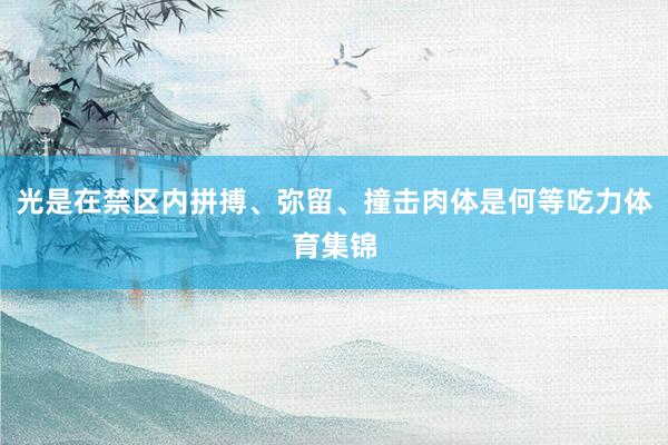 光是在禁区内拼搏、弥留、撞击肉体是何等吃力体育集锦