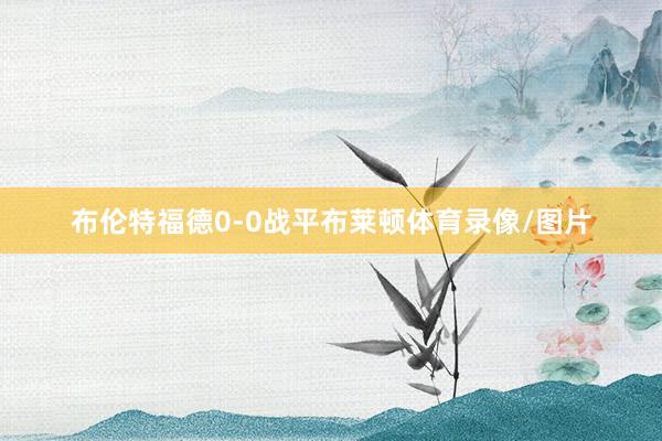 布伦特福德0-0战平布莱顿体育录像/图片
