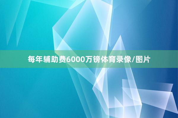 每年辅助费6000万镑体育录像/图片