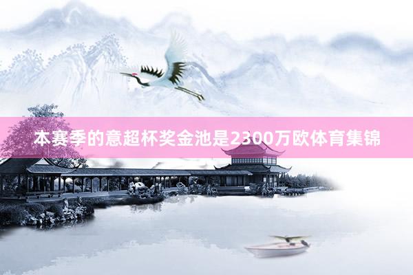 本赛季的意超杯奖金池是2300万欧体育集锦