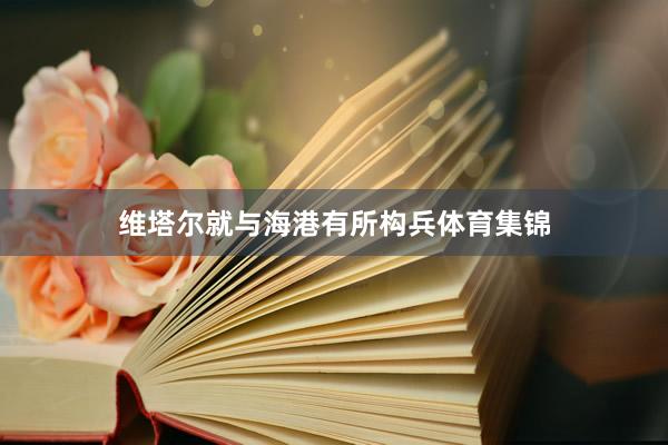 维塔尔就与海港有所构兵体育集锦
