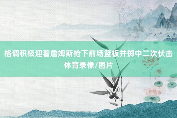 格调积极迎着詹姆斯抢下前场篮板并掷中二次伏击体育录像/图片