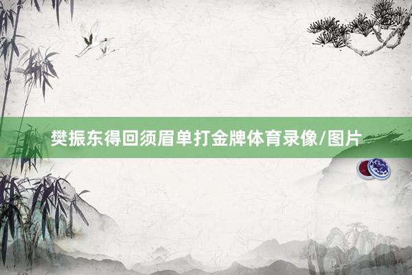 樊振东得回须眉单打金牌体育录像/图片