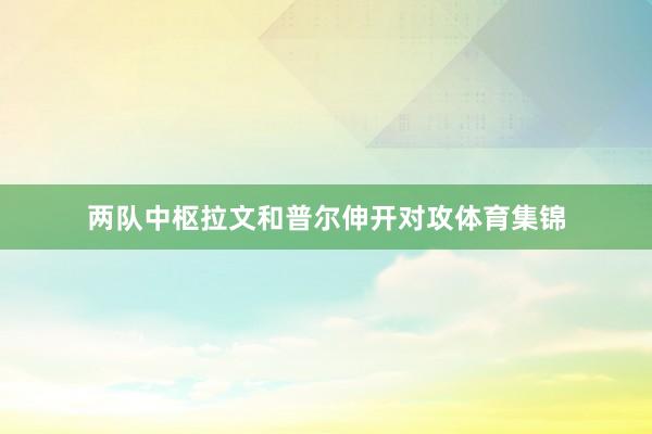 两队中枢拉文和普尔伸开对攻体育集锦