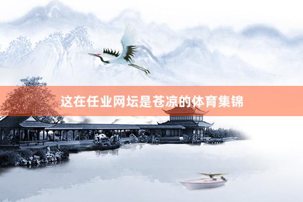 这在任业网坛是苍凉的体育集锦