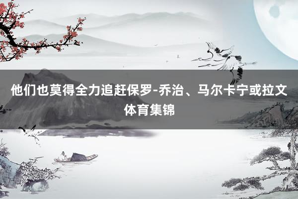 他们也莫得全力追赶保罗-乔治、马尔卡宁或拉文体育集锦