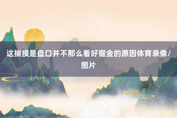 这揣摸是盘口并不那么看好掘金的原因体育录像/图片
