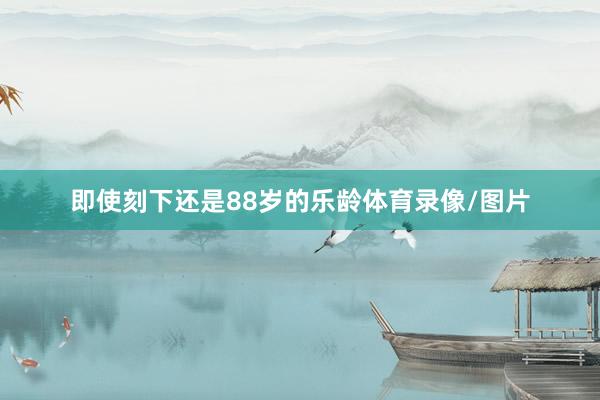 即使刻下还是88岁的乐龄体育录像/图片