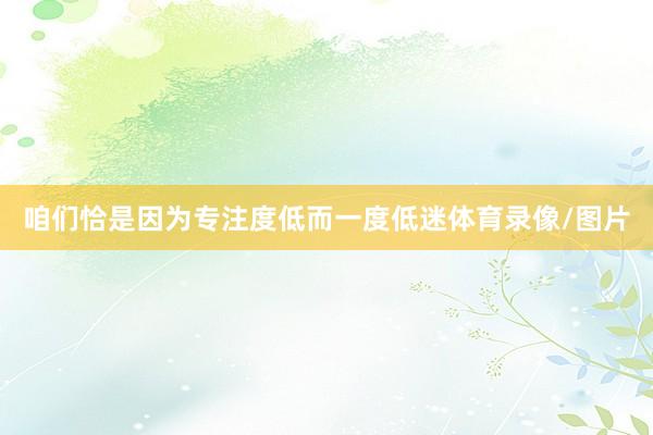 咱们恰是因为专注度低而一度低迷体育录像/图片