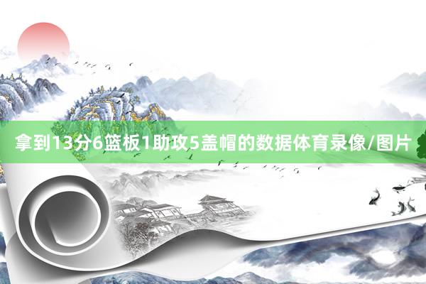 拿到13分6篮板1助攻5盖帽的数据体育录像/图片
