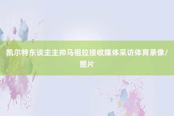 凯尔特东谈主主帅马祖拉接收媒体采访体育录像/图片