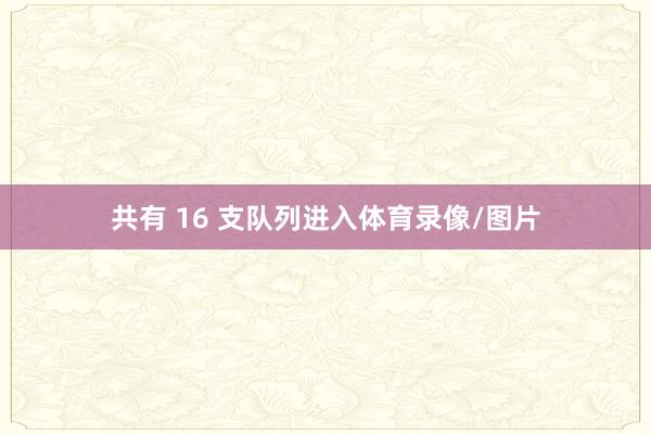 共有 16 支队列进入体育录像/图片