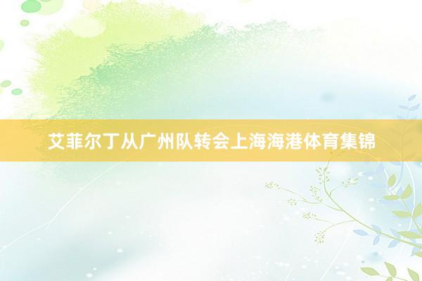 艾菲尔丁从广州队转会上海海港体育集锦