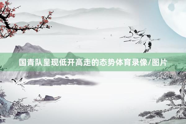 国青队呈现低开高走的态势体育录像/图片
