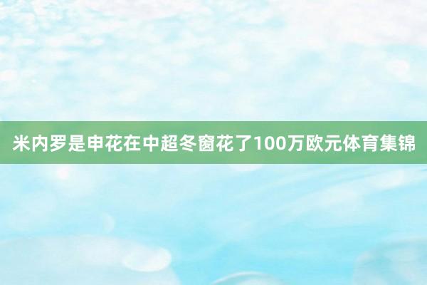 米内罗是申花在中超冬窗花了100万欧元体育集锦
