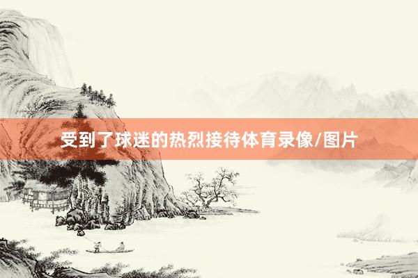 受到了球迷的热烈接待体育录像/图片