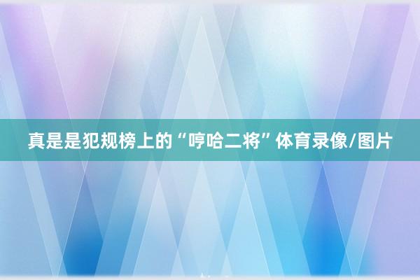 真是是犯规榜上的“哼哈二将”体育录像/图片