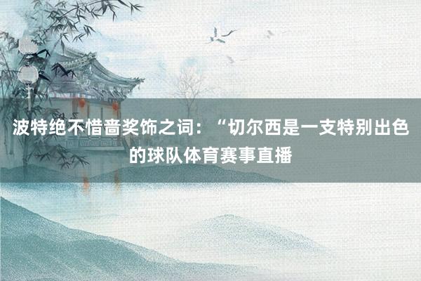 波特绝不惜啬奖饰之词：“切尔西是一支特别出色的球队体育赛事直播