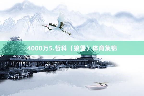 4000万5.哲科（狼堡）体育集锦