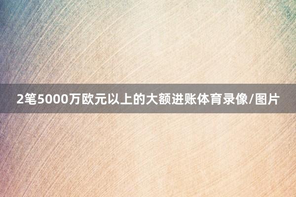 2笔5000万欧元以上的大额进账体育录像/图片